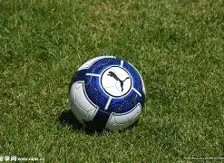 国安客场击,败清莱联,米兰体育,米兰体育官网,米兰体育直播,体育赛事直播,足球直播