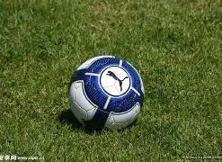 大生意人,商界传奇的,跌宕人生,米兰体育官网,米兰体育直播,体育赛事直播,足球直播