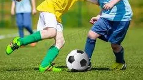 “推动全民健身公共服务体系迈向新高度”